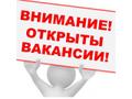 На выбор: подработка или карьера.